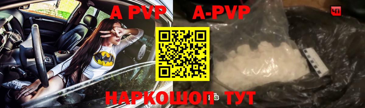 Alfa_PVP СК Новочеркасск